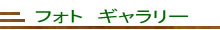 フォトギャラリー